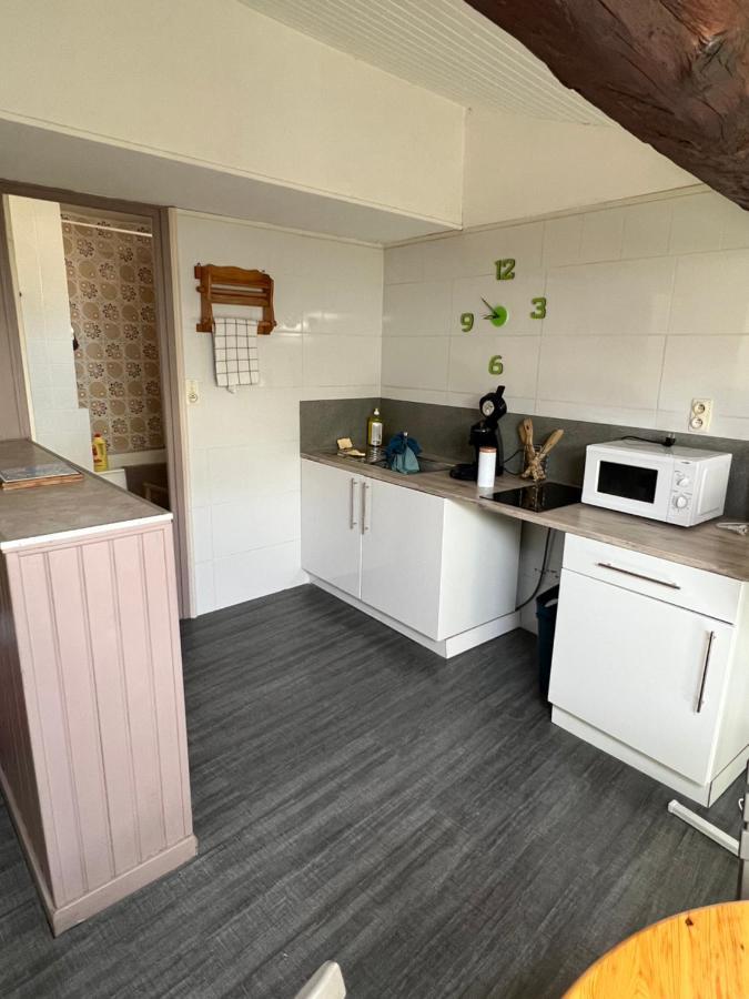 Appartement Au Coeur De Carcassonne Buitenkant foto